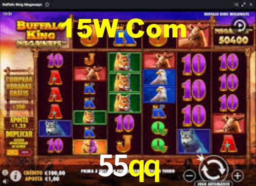 55qq